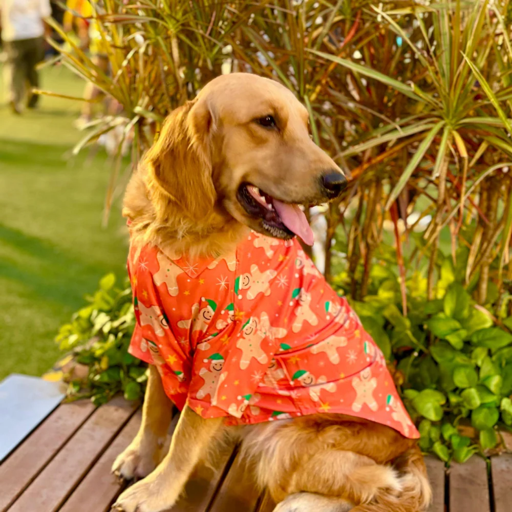 15 Furries Gingerbread Man for Dogs - Image 4