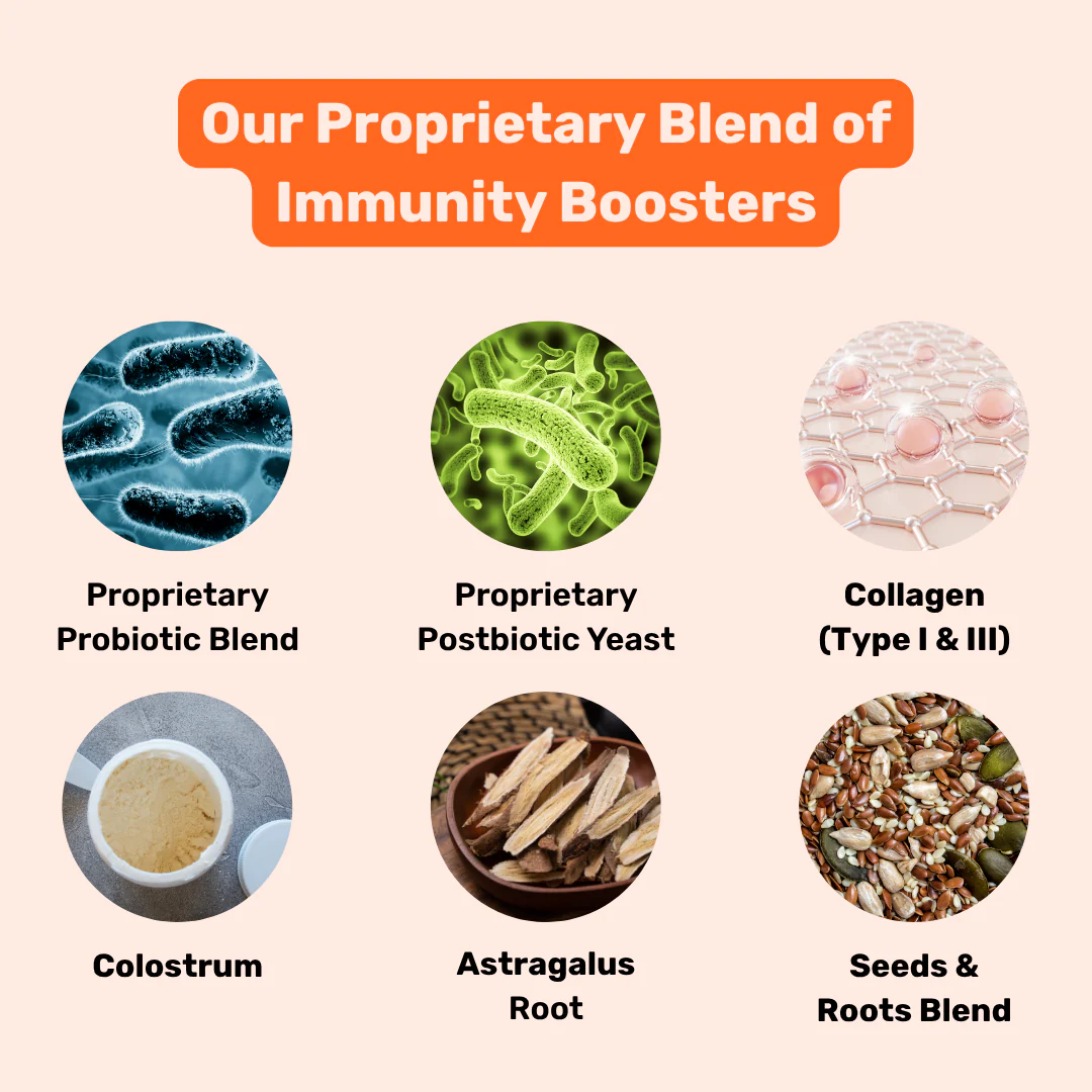 Absolut Pet Postbiotics to Boost Immunity Chews Dogs Treat - Image 2