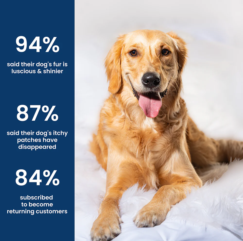 Absolut Pet Probiotics Gut & Hip, Joint Care & Skin & Coat with Collagen Health Dog Supplement Combo - Image 19