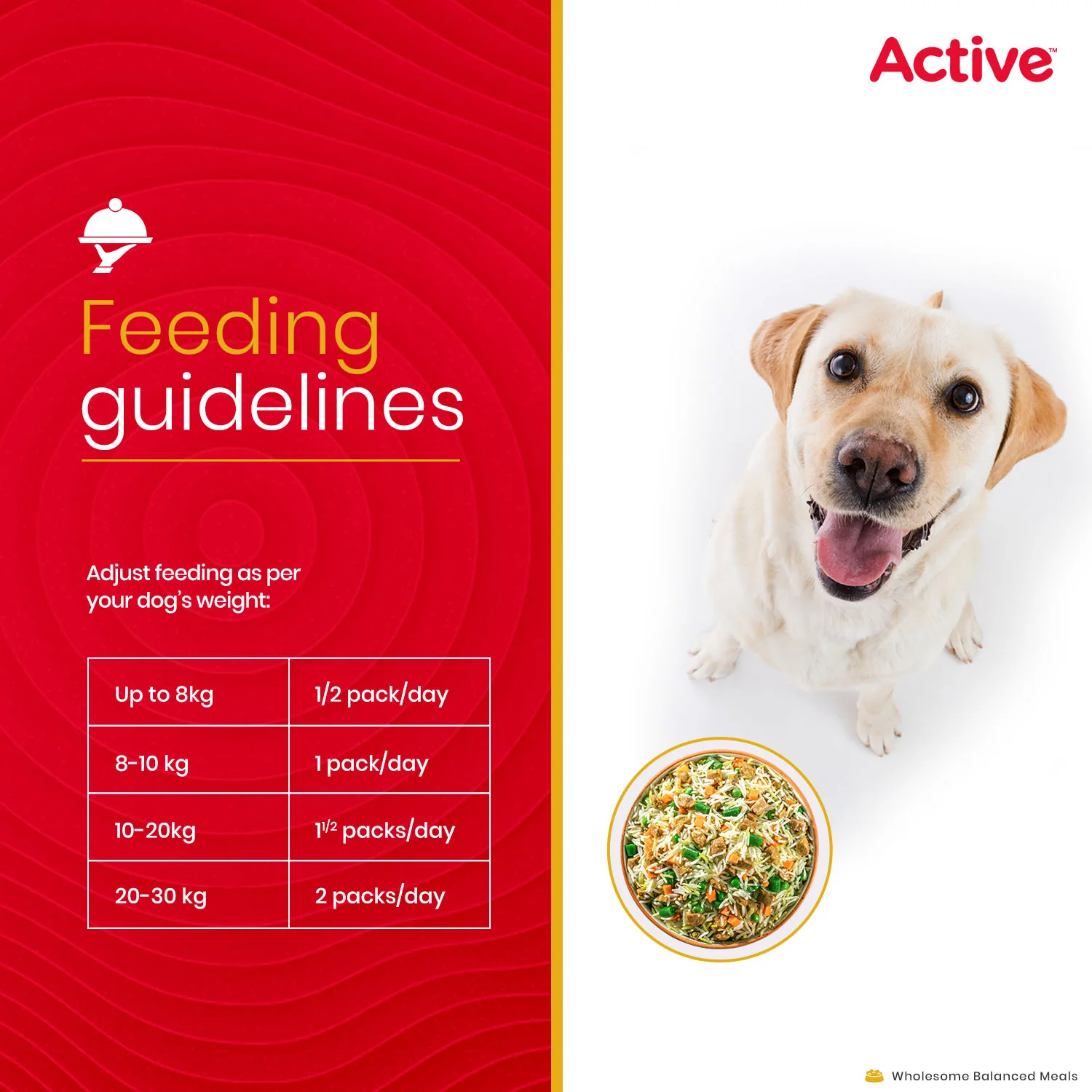 Active Chicken and Mutton & Biryani Fresh Food for Dogs Combo - Image 10