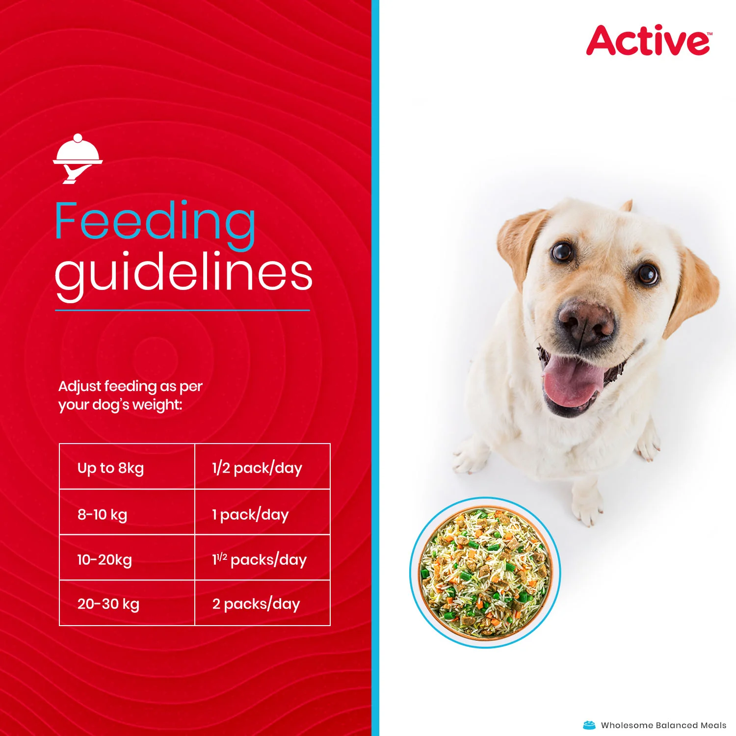 Active Chicken and Mutton & Biryani Fresh Food for Dogs Combo - Image 5