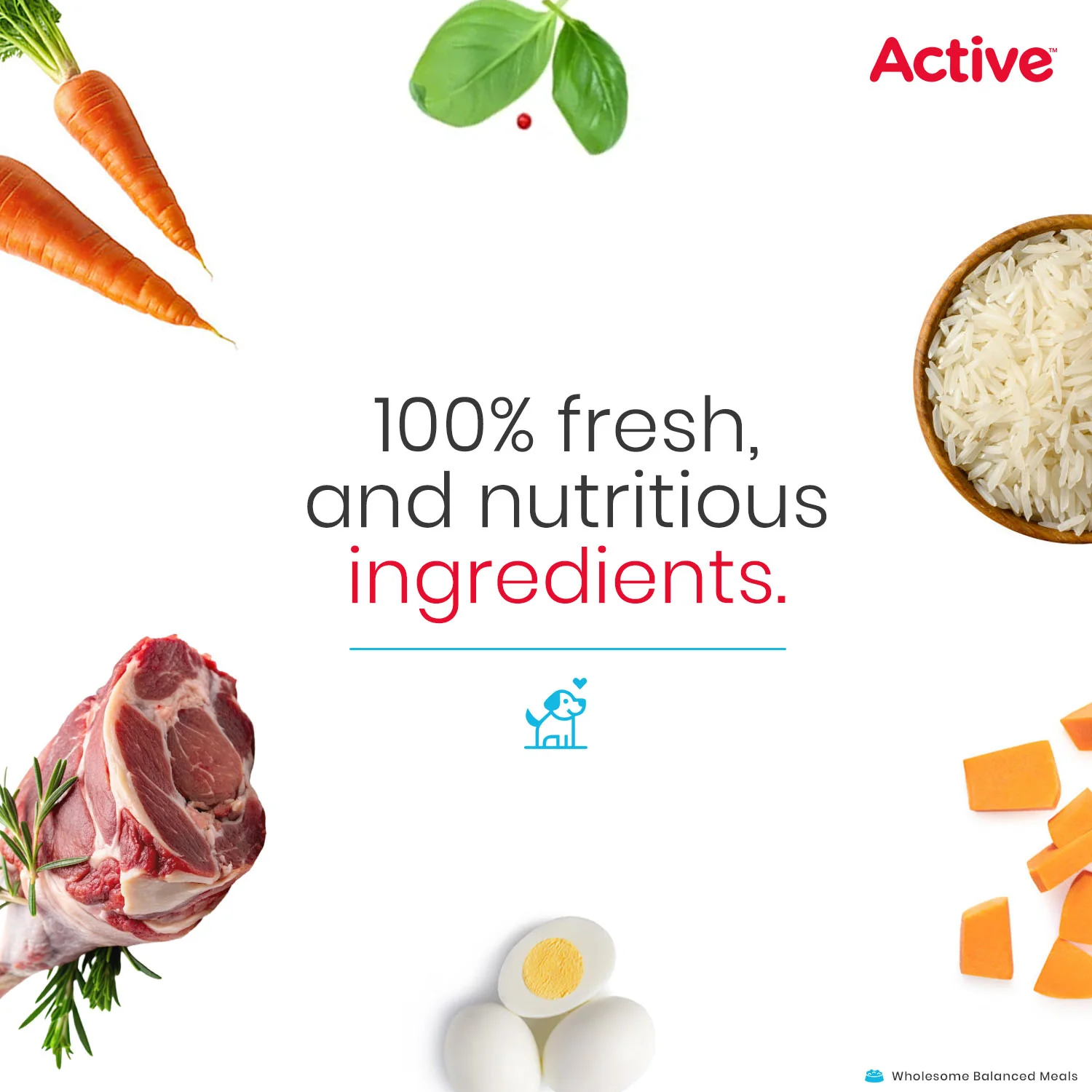 Active Chicken and Mutton & Biryani Fresh Food for Dogs Combo - Image 7