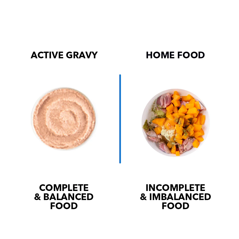 Active Real Salmon Fish in Gravy Adult Cat Wet Food (Buy 1 Get 1) - Image 6