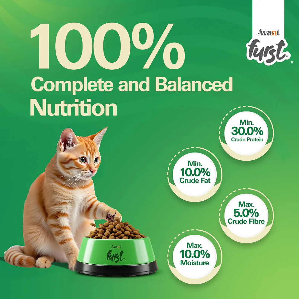 Avant Furst Tuna Fish Flavour Adult Cat Dry Food - Image 5