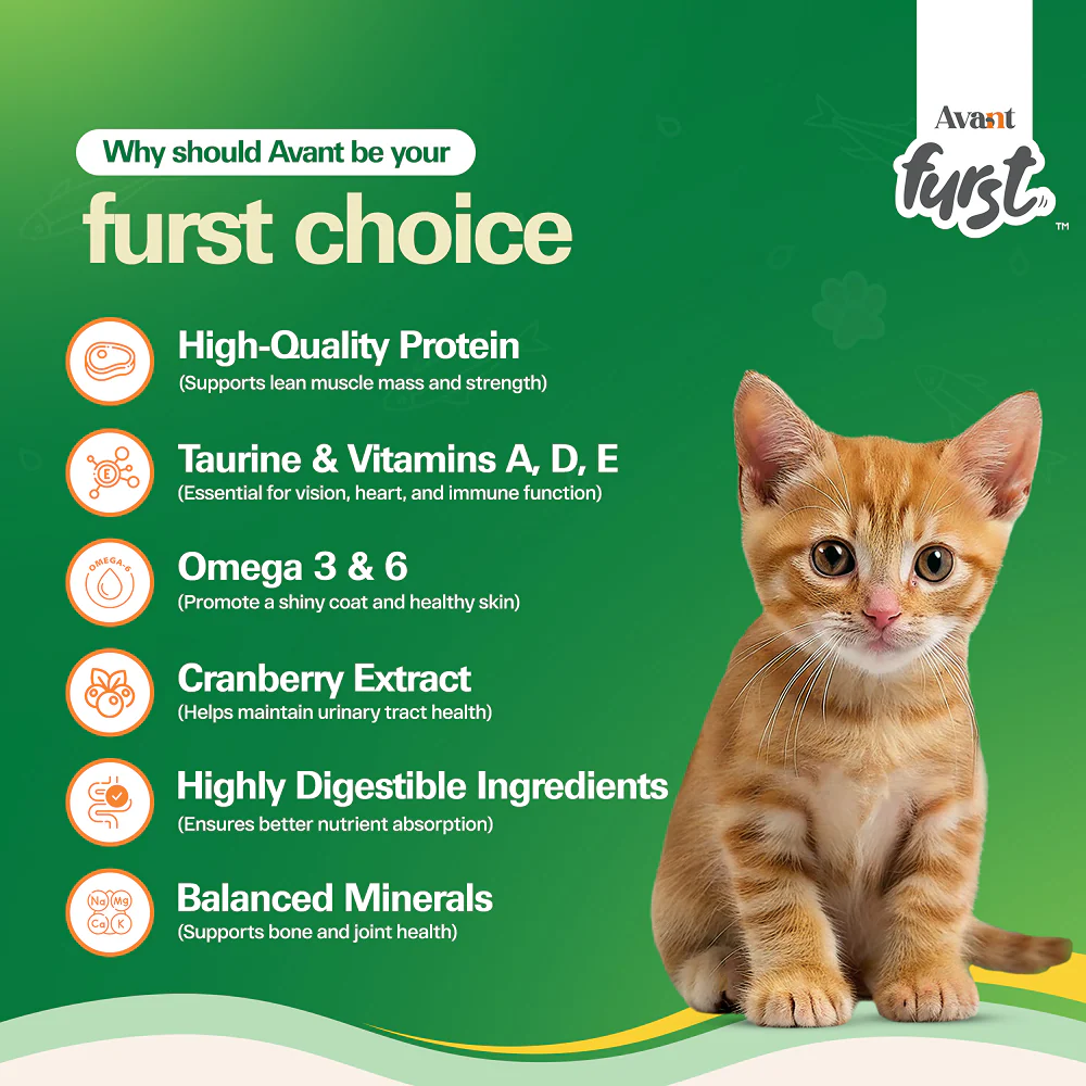 Avant Furst Tuna Fish Flavour Kitten Cat Dry Food - Image 5