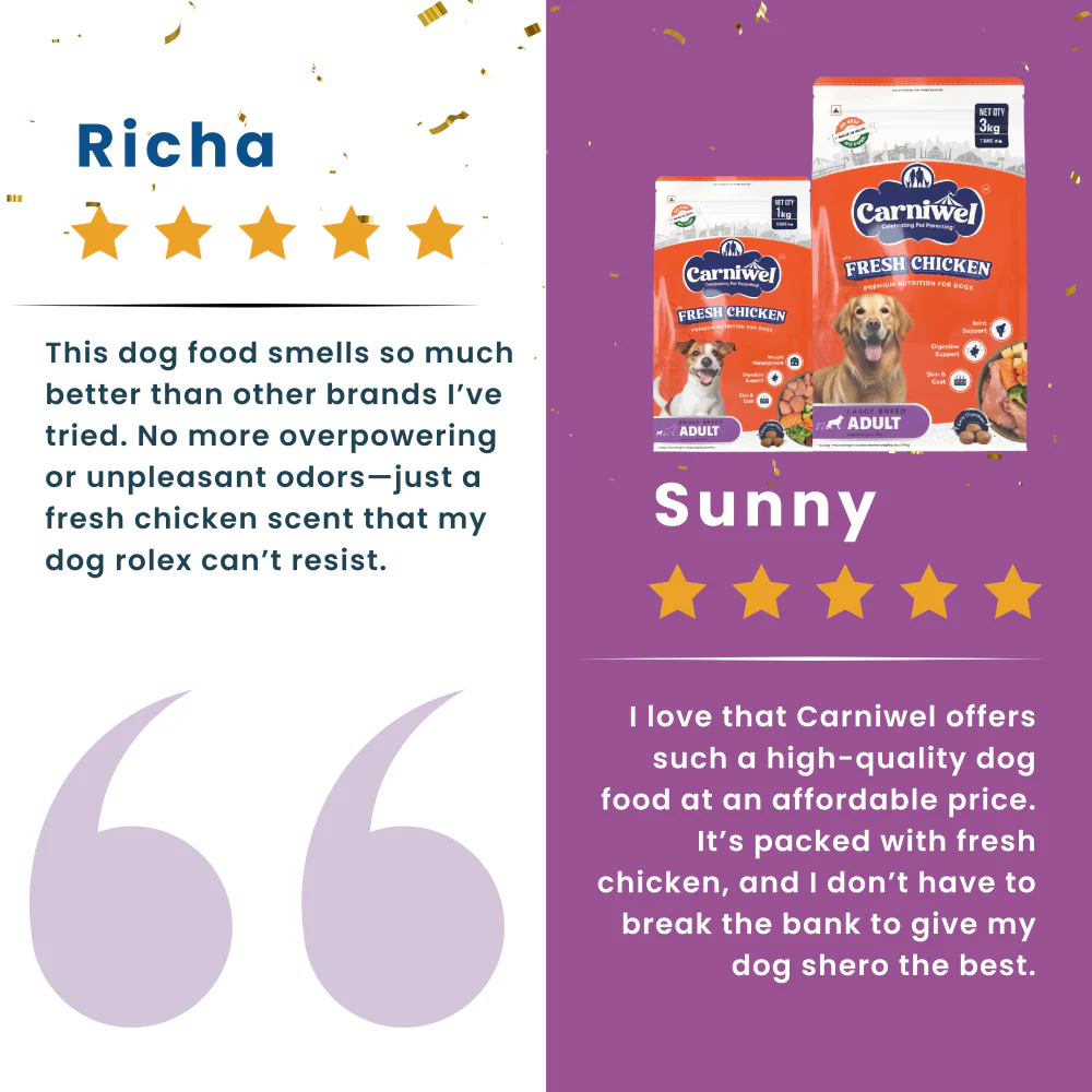 Carniwel Fresh Chicken Kibble Large Breed Dry Food and Fullr Dental Dog Treats - Image 7