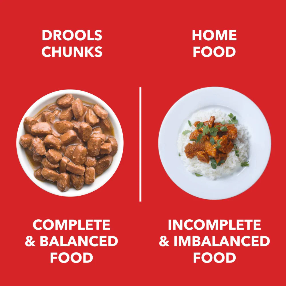 Drools Real Chicken & Chicken Liver Chunks in Gravy Puppy Dog Wet Food - Image 4