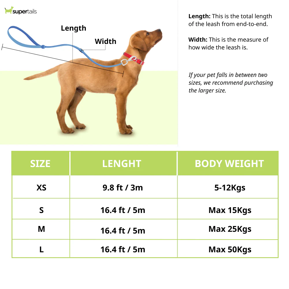 Fida Mars Retractable Leash for Dogs (White) - Image 7