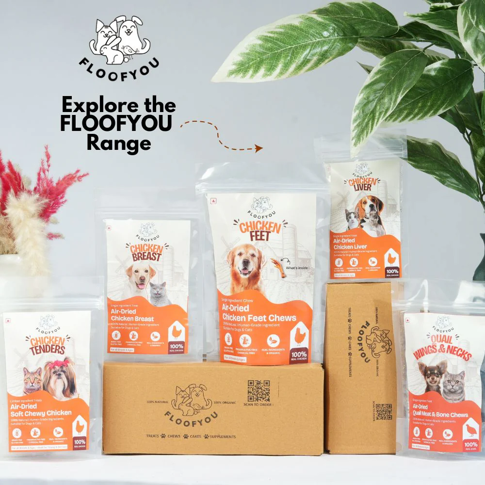 FloofYou Air Dried Chewy Chicken Tender Dogs & Cats Treat - Image 7