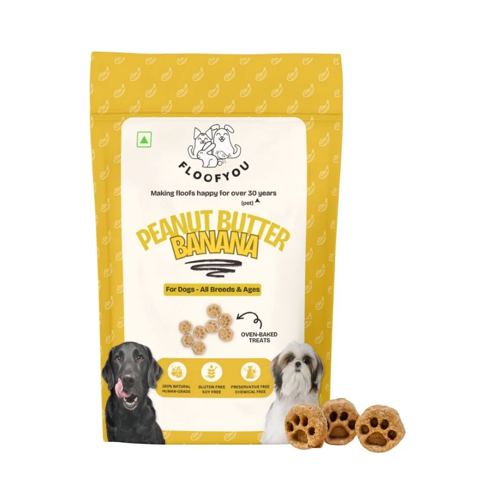 FloofYou Oven Baked Peanut Butter & Banana Dog Treats