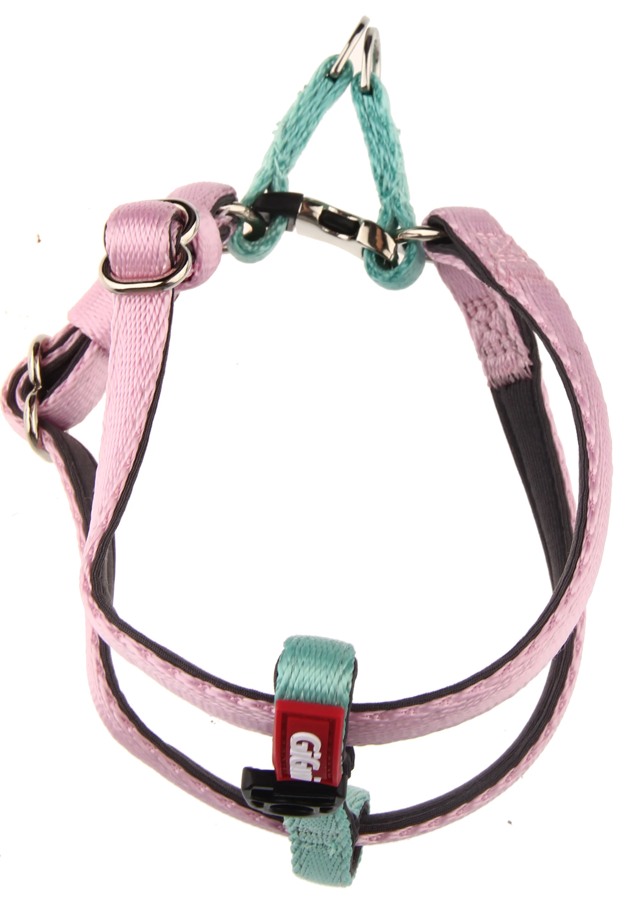 New Launch Dog CLH