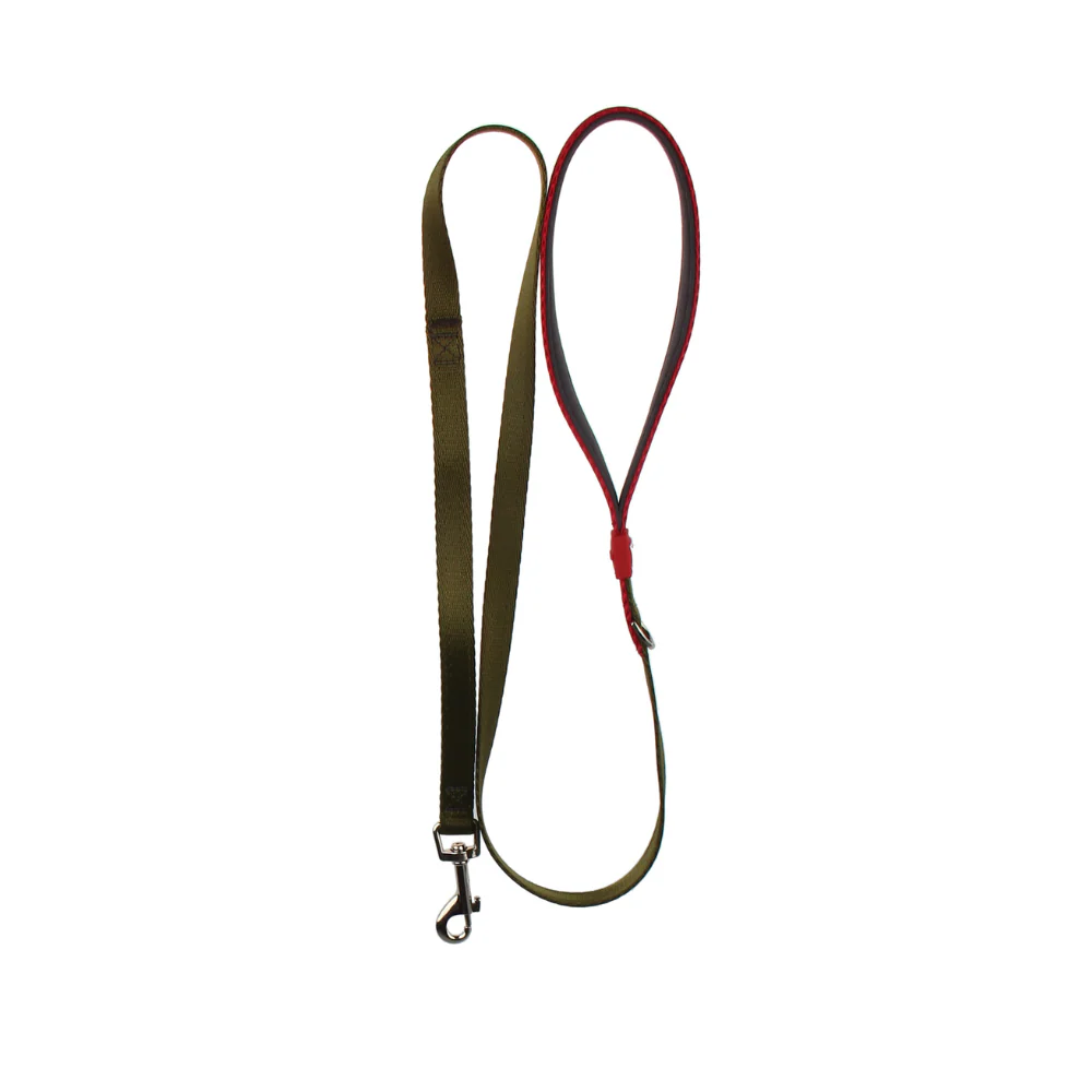 GiGwi Premium Line Leash for Dogs (Green)