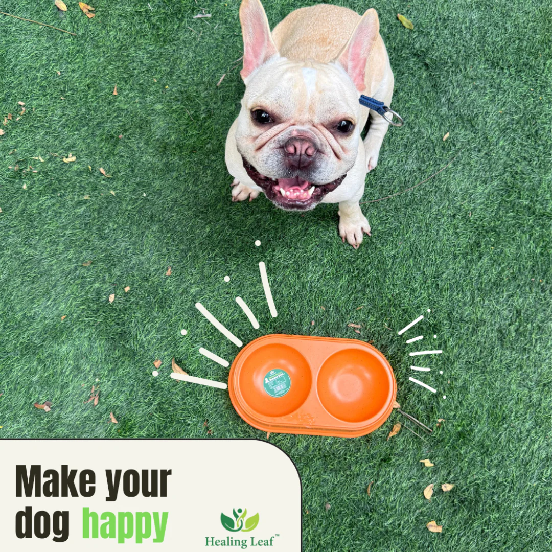 Healing Leaf Eco Friendly Dual Bamboo Bowl for Dogs and Cats (Orange) - Image 2