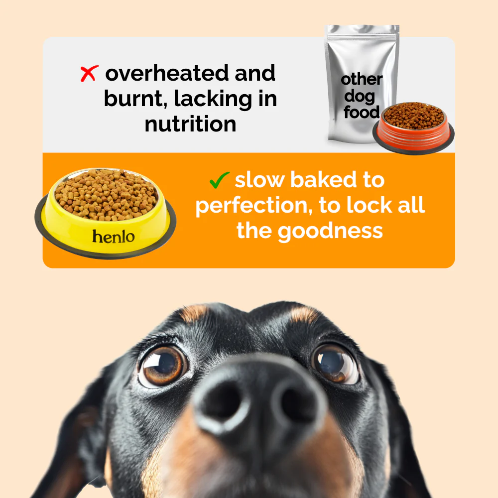 Henlo Baked Chicken & Liver and Chicken & Rice Dog Dry Food Combo - Image 15