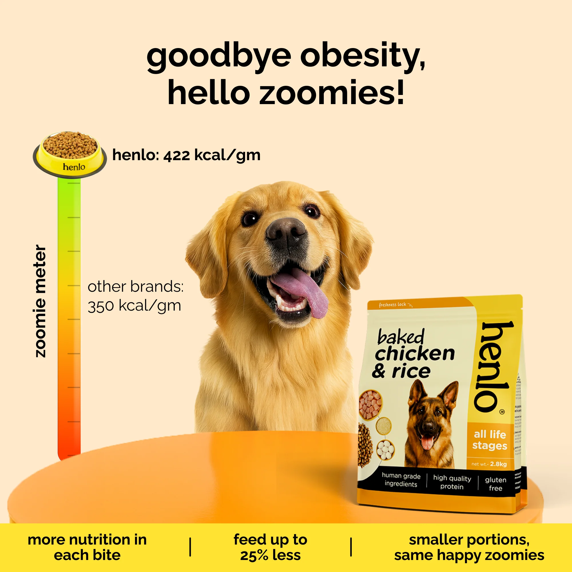 Henlo Baked Chicken & Rice Adult and Puppy Gluten free Dog Dry Food | 100% human grade ingredients - Image 2