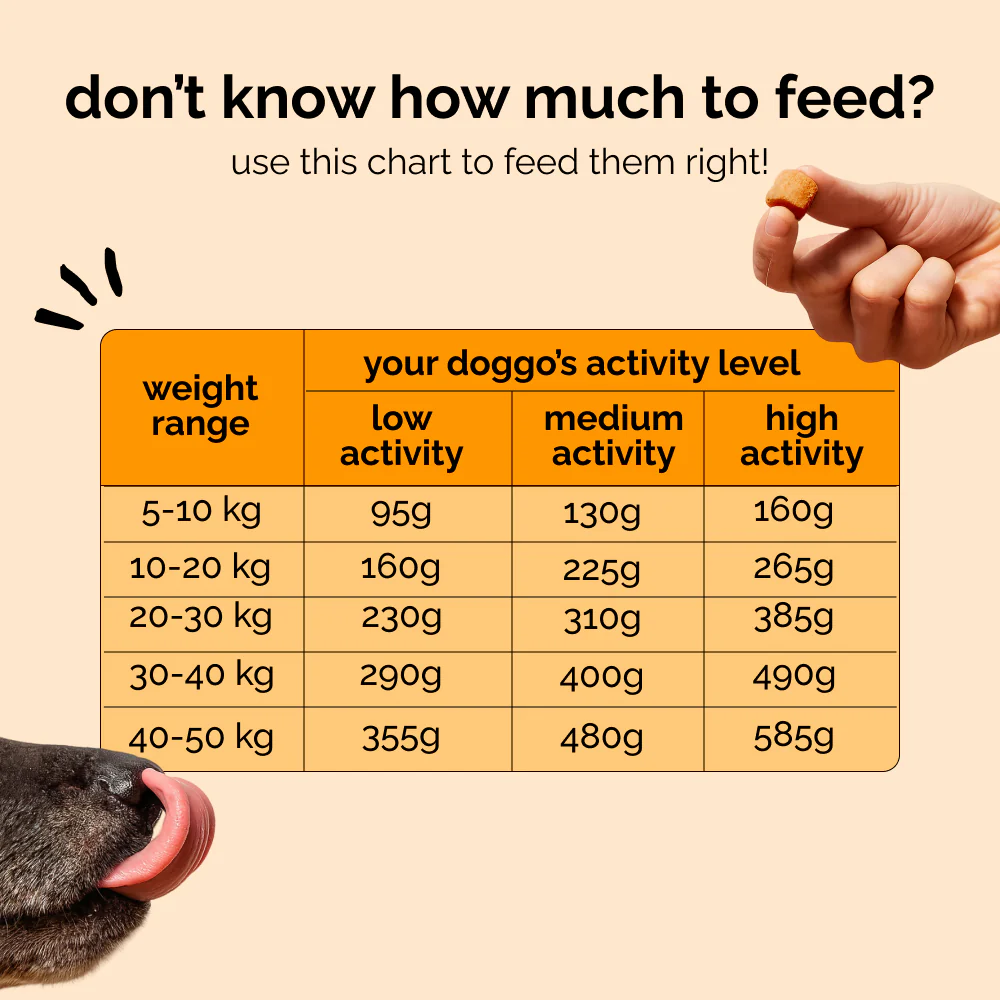 Henlo Baked Chicken & Rice Adult and Puppy Gluten free Dog Dry Food | 100% human grade ingredients - Image 6