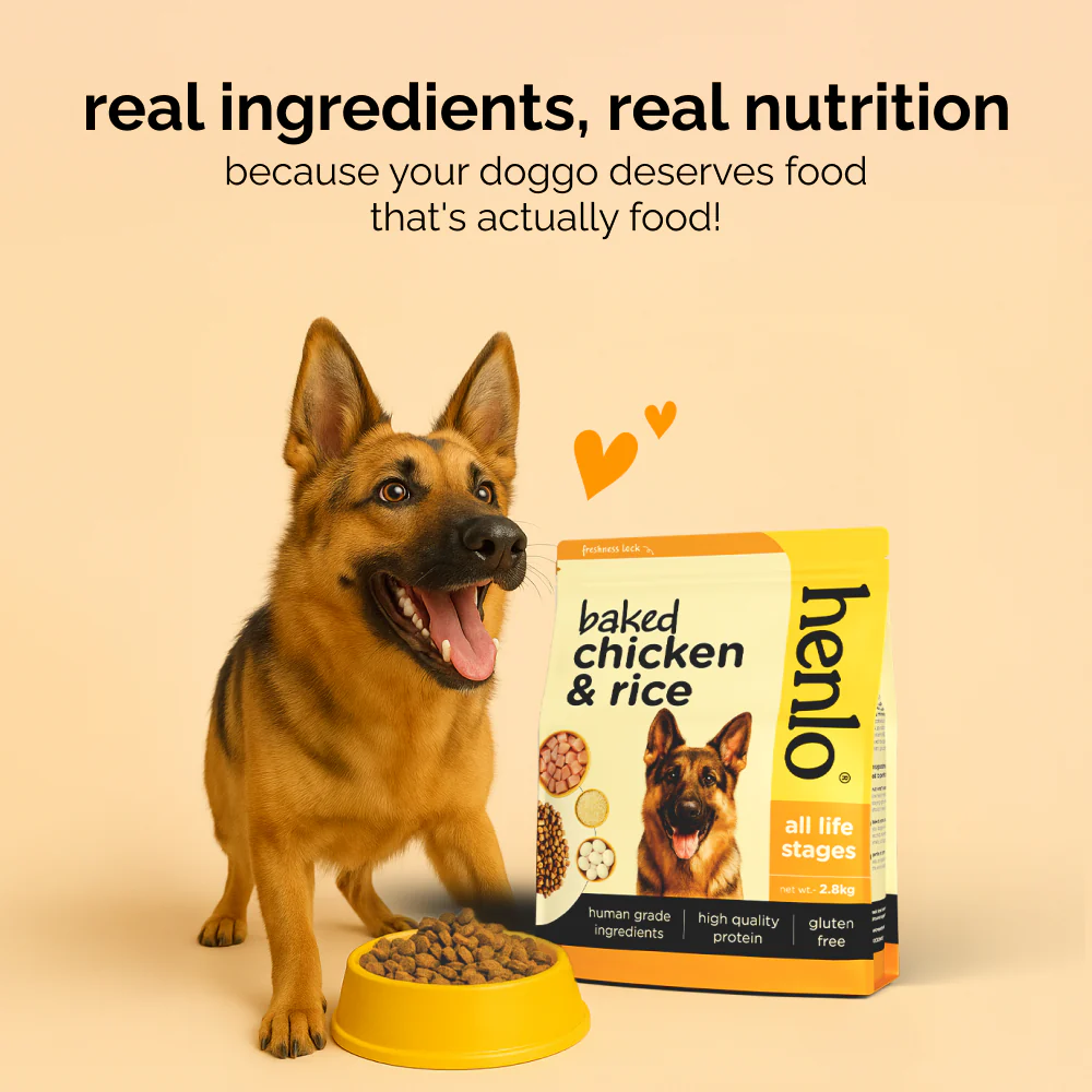 Henlo Baked Chicken & Rice Adult and Puppy Gluten free Dog Dry Food | 100% human grade ingredients - Image 7