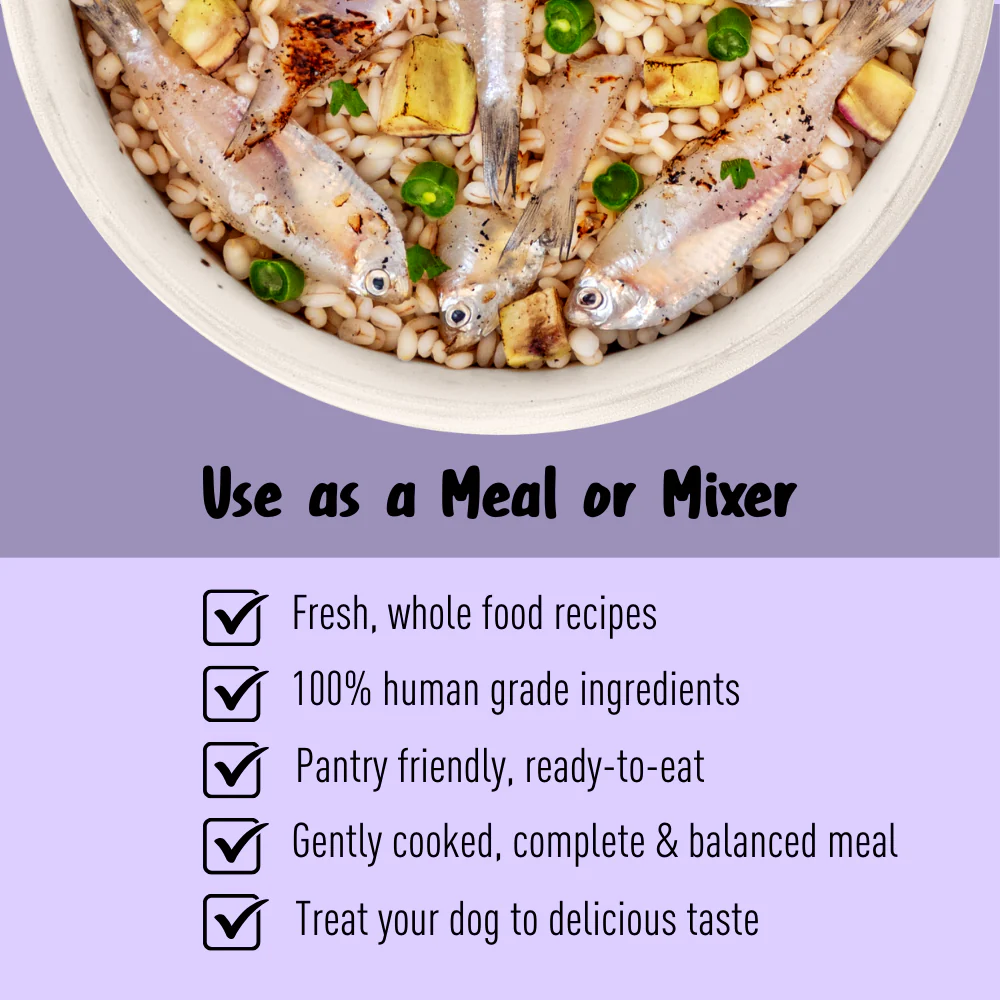 Homiee & Ginger Grain Free Mini Meals Fish Feista Fresh Food for Dogs - Image 3