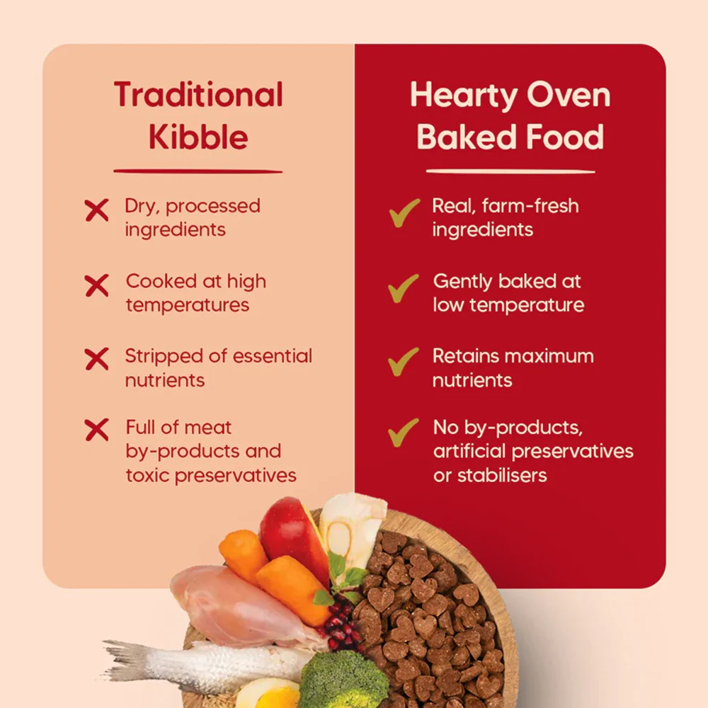 HUFT Hearty Oven Baked Lamb & Blueberry with Superfood Adult Dog Dry Food - Image 3