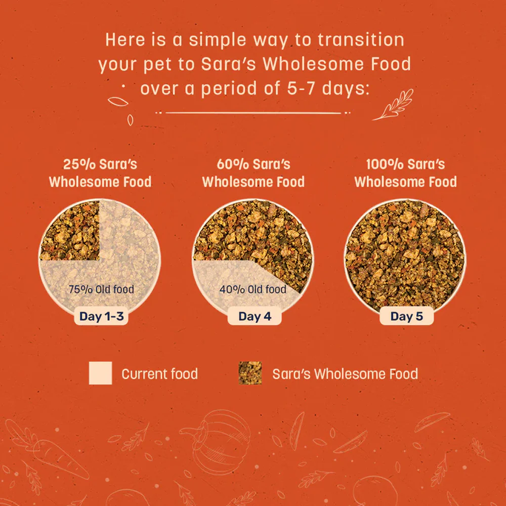 HUFT Sara's Wholesome Variety Pack Dog Fresh and Wet Food - Image 8