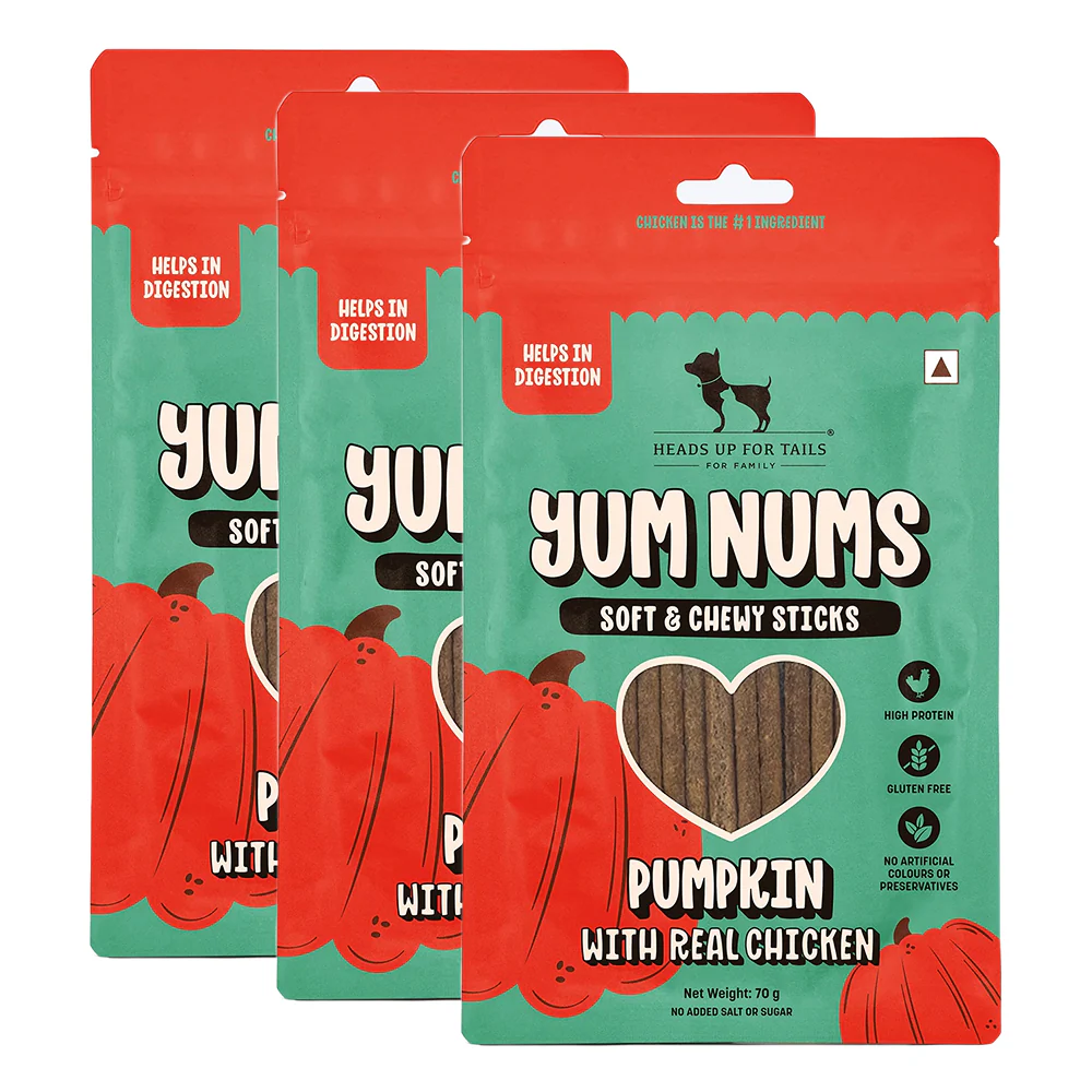 HUFT Yum Nums Pumpkin with Real Chicken Soft and Chewy Grain Free Sticks Treat for Dogs - Image 9
