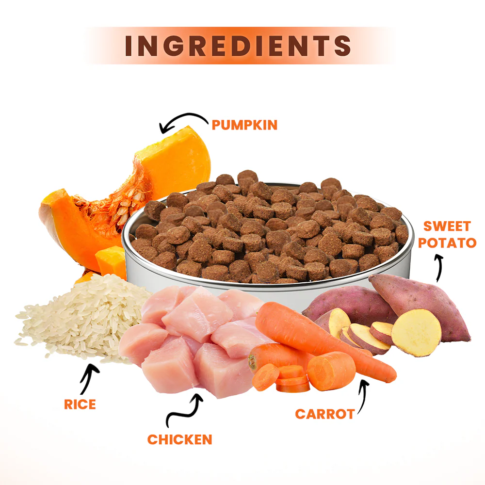 Lickicious Chicken and Vegetables Adult Dog Dry Food - Image 2