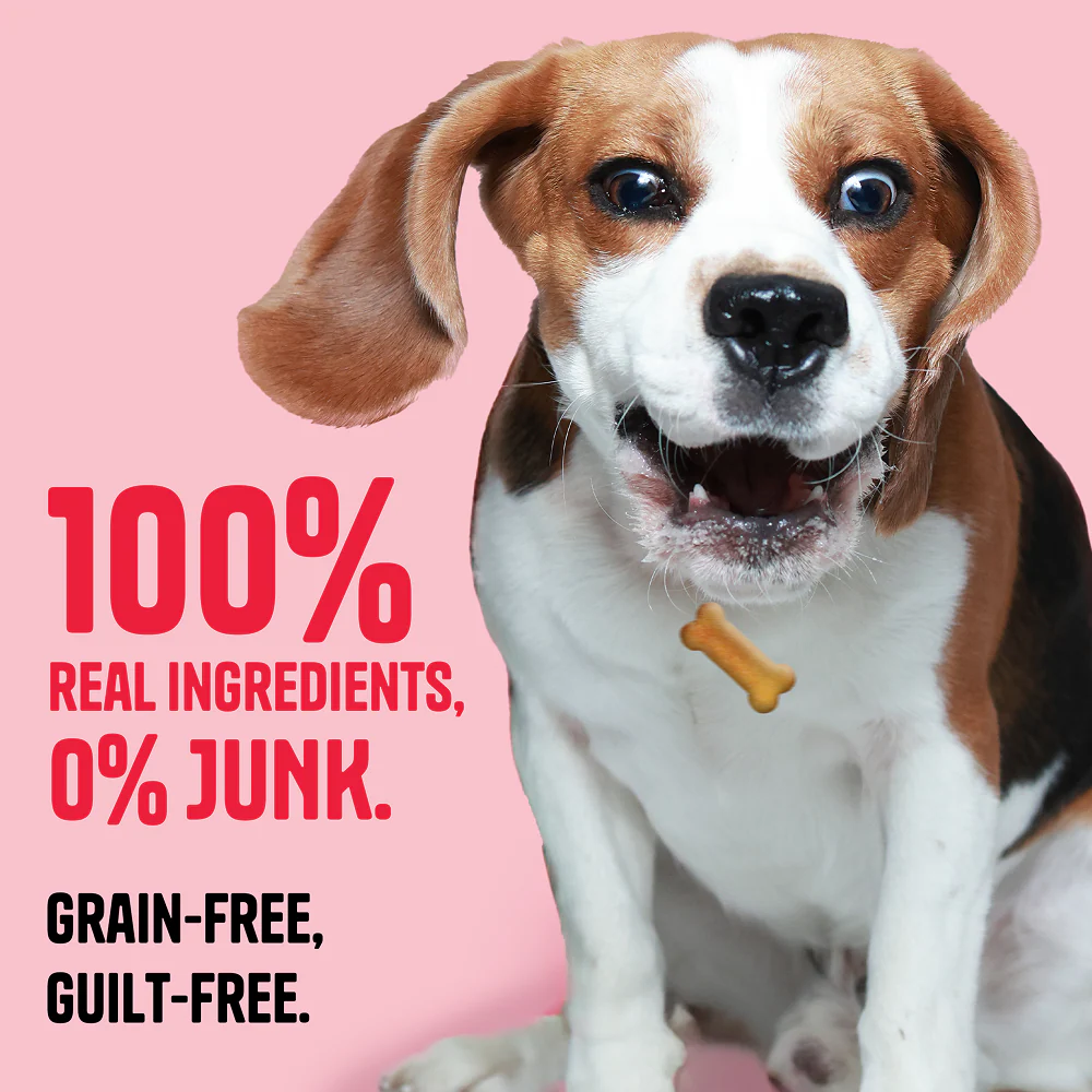 Muttley Crew Apple and Cinnamon Biscuits Dog Treats - Image 4