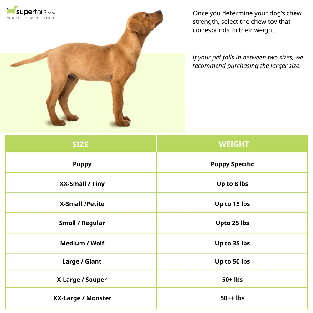 Nylabone Bison Flavor Shin Bone Alternative Power Chew Toy for Dogs - Image 3