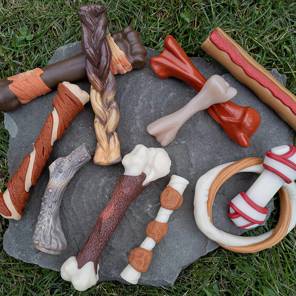 Nylabone Bison Flavor Shin Bone Alternative Power Chew Toy for Dogs - Image 9