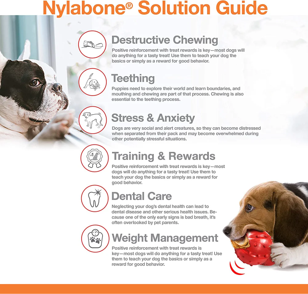 Nylabone Original Flavoured Power Chew Textured Bone (Beige) - Image 7