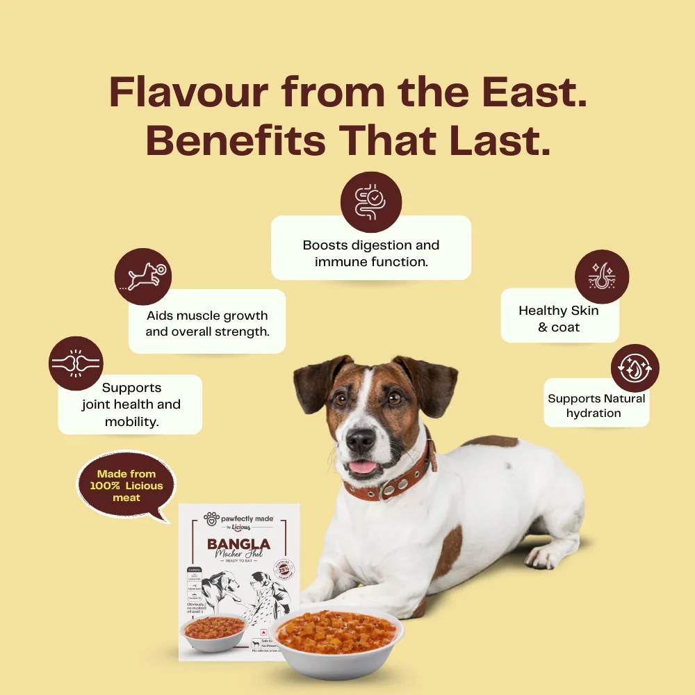 Pawfectly Made By Licious Bangla Macher Jhol Gravy Adult Dog Wet Food - Image 3