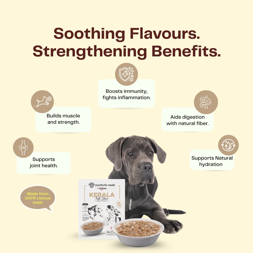 Pawfectly Made By Licious Kerala Fish Stew Gravy Adult Dog Wet Food - Image 3
