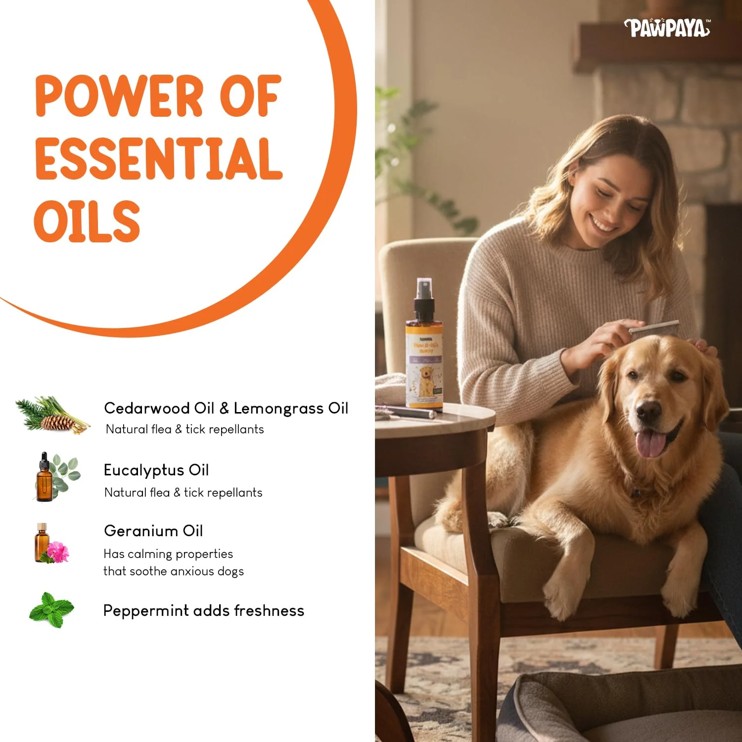 Pawpaya  Flea and Tick Spray for Dogs and Cats - Image 2