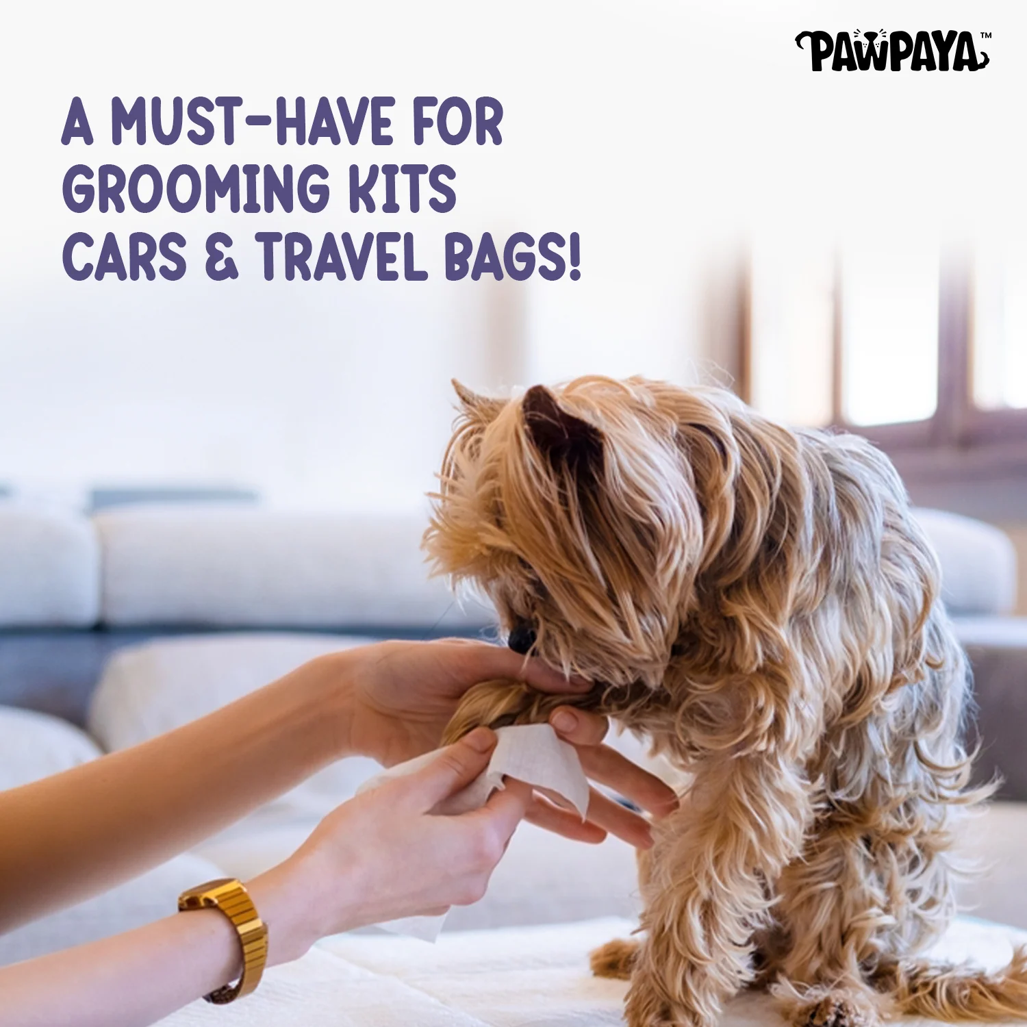 Pawpaya Wipes for Pets - Image 6