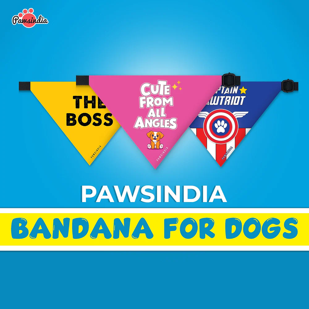 Pawsindia Biggie Pet Bandana for Dogs and Cats - Image 3