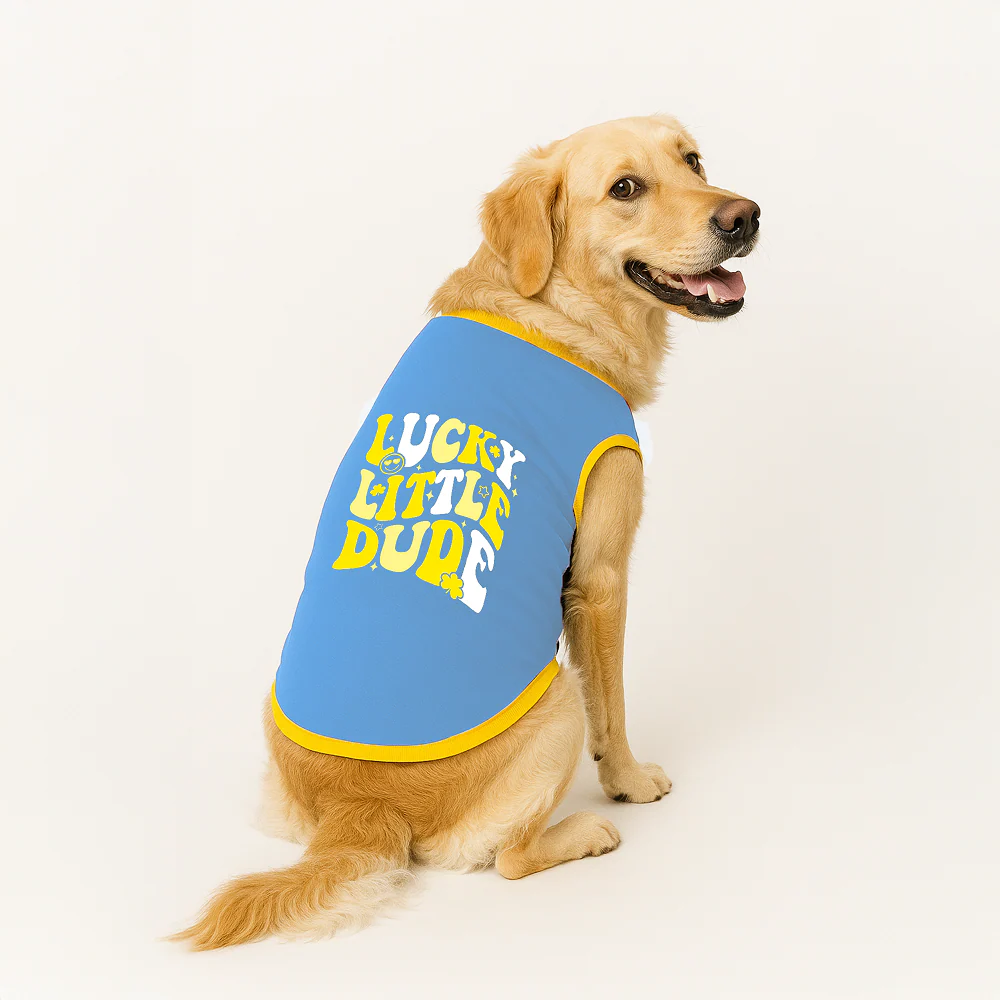 PawsIndia Lucky Little Dude Printed with Ribbed Sleeves TShirt for Dogs (Blue)