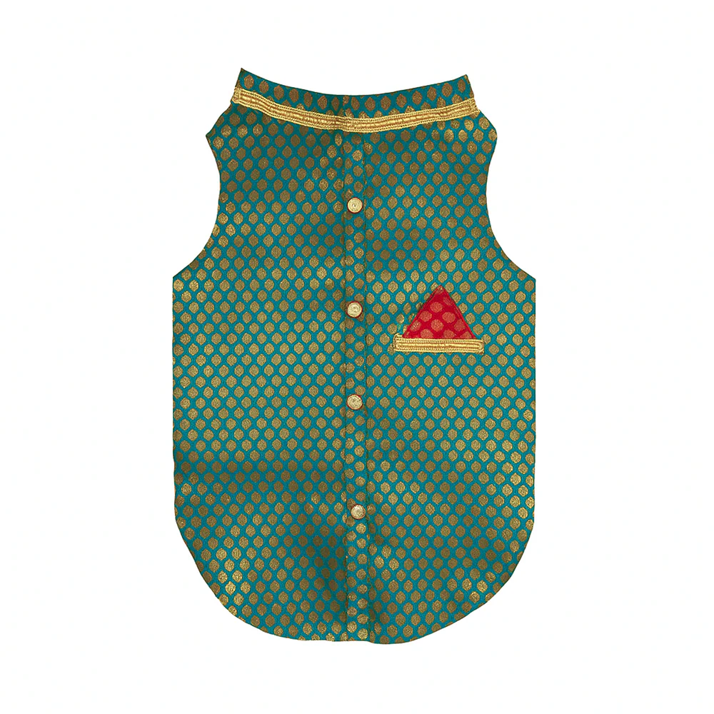 Pawsindia Traditional Royal Brocade Kurta for Cats (Aqua Green)