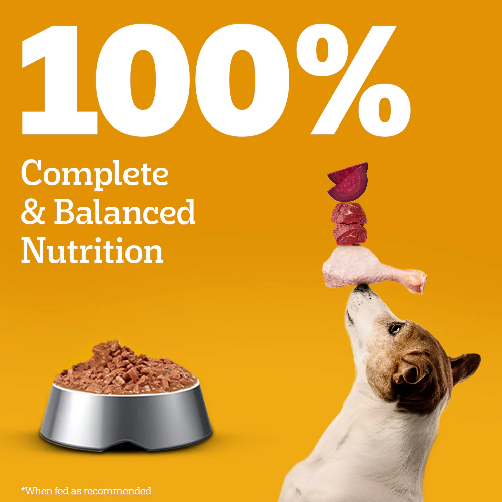 Pedigree Adult Dog Food Combo |Chicken, Egg & Rice Dry & Chicken & Liver Wet - Image 29
