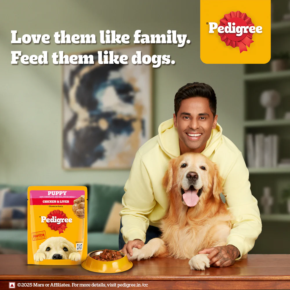 Pedigree Puppy Dog Food Combo |Chicken & Milk Dry & Chicken & Liver Wet - Image 28