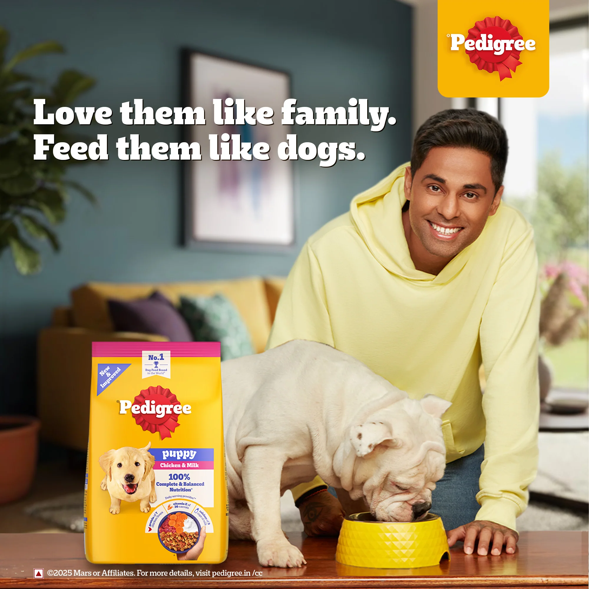 Pedigree Puppy Dog Food Combo |Chicken & Milk Dry & Chicken & Liver Wet - Image 4