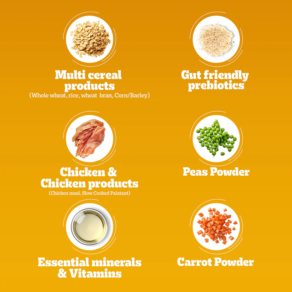 Pedigree Adult Dog Food Combo |Chicken & Vegetables Dry & Chicken & Liver Wet - Image 11
