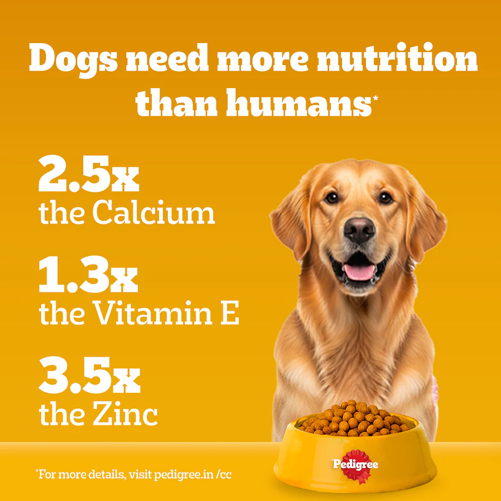 Pedigree Adult Dog Food Combo |Chicken & Vegetables Dry & Chicken & Liver Wet - Image 16