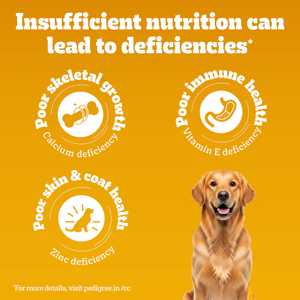 Pedigree Adult Dog Food Combo |Chicken & Vegetables Dry & Chicken & Liver Wet - Image 18