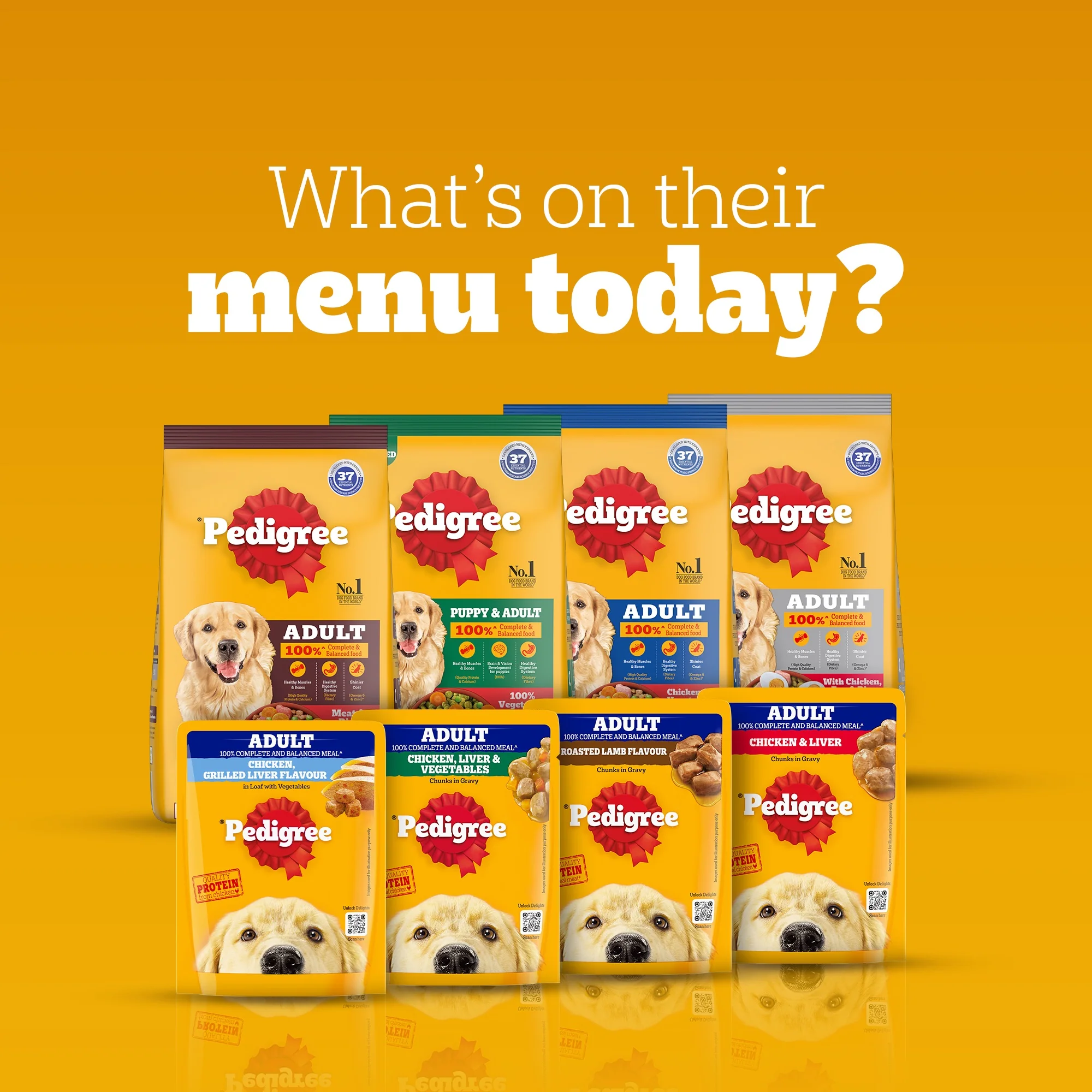 Pedigree Adult Dog Food Combo |Chicken & Vegetables Dry & Chicken & Liver Wet - Image 23