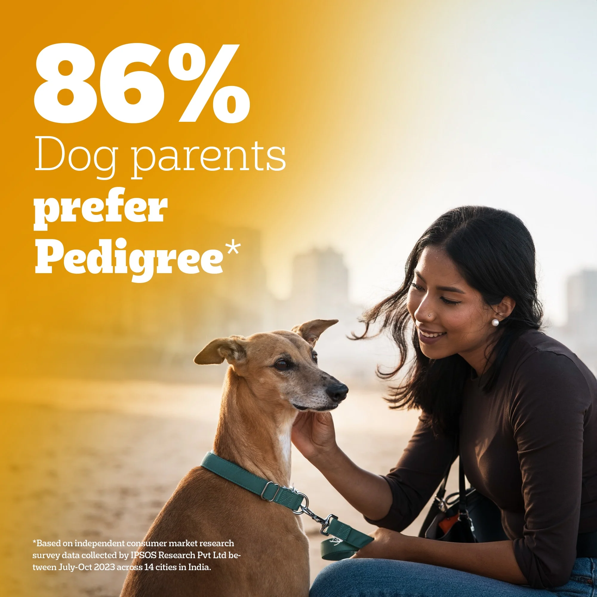 Pedigree Adult Dog Food Combo |Chicken & Vegetables Dry & Chicken & Liver Wet - Image 31