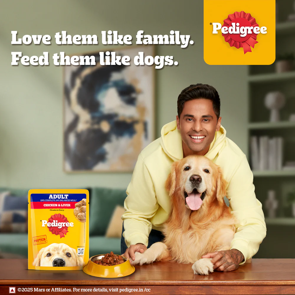 Pedigree Adult Dog Food Combo |Chicken & Vegetables Dry & Chicken & Liver Wet - Image 35