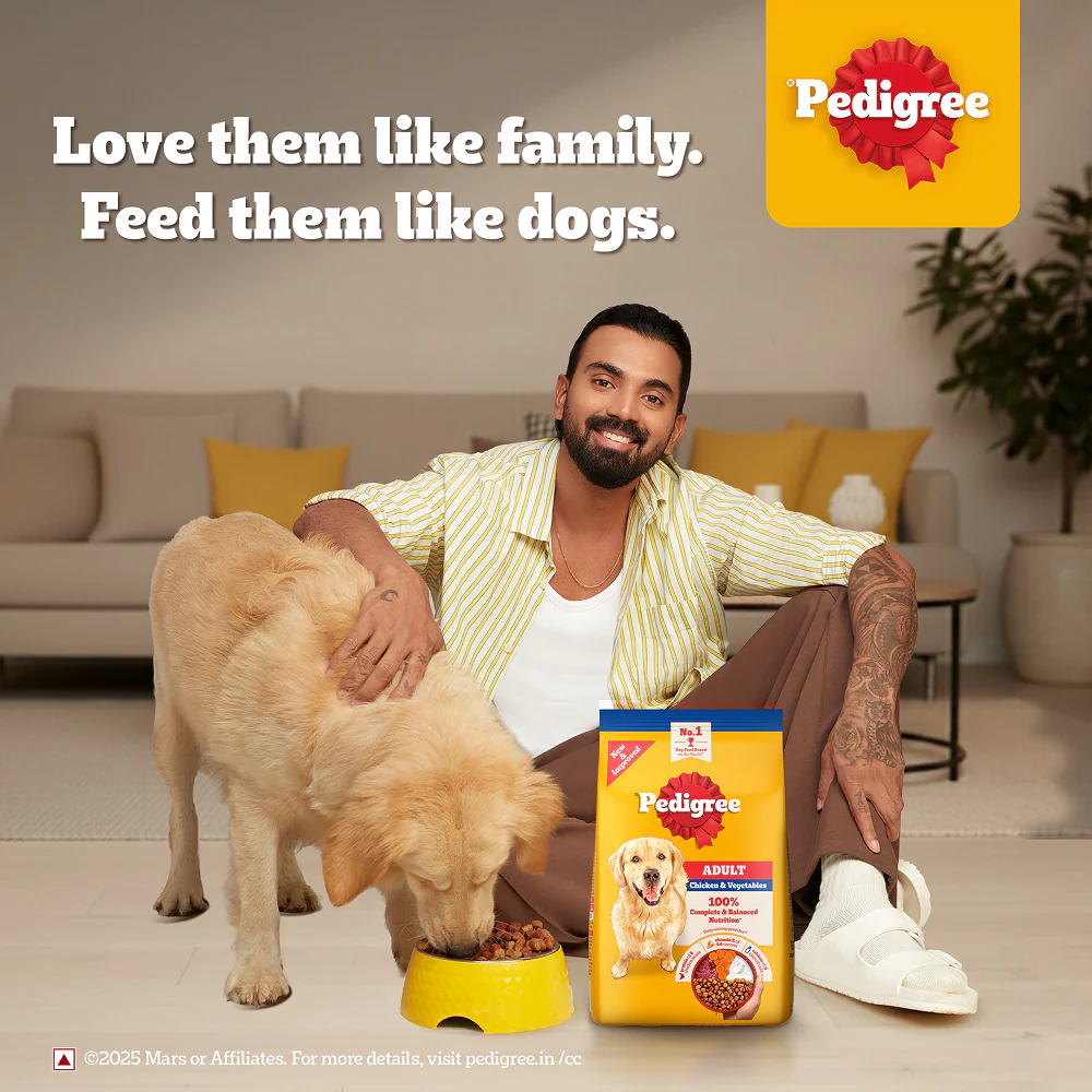 Pedigree Adult Dog Food Combo |Chicken & Vegetables Dry & Chicken & Liver Wet - Image 5