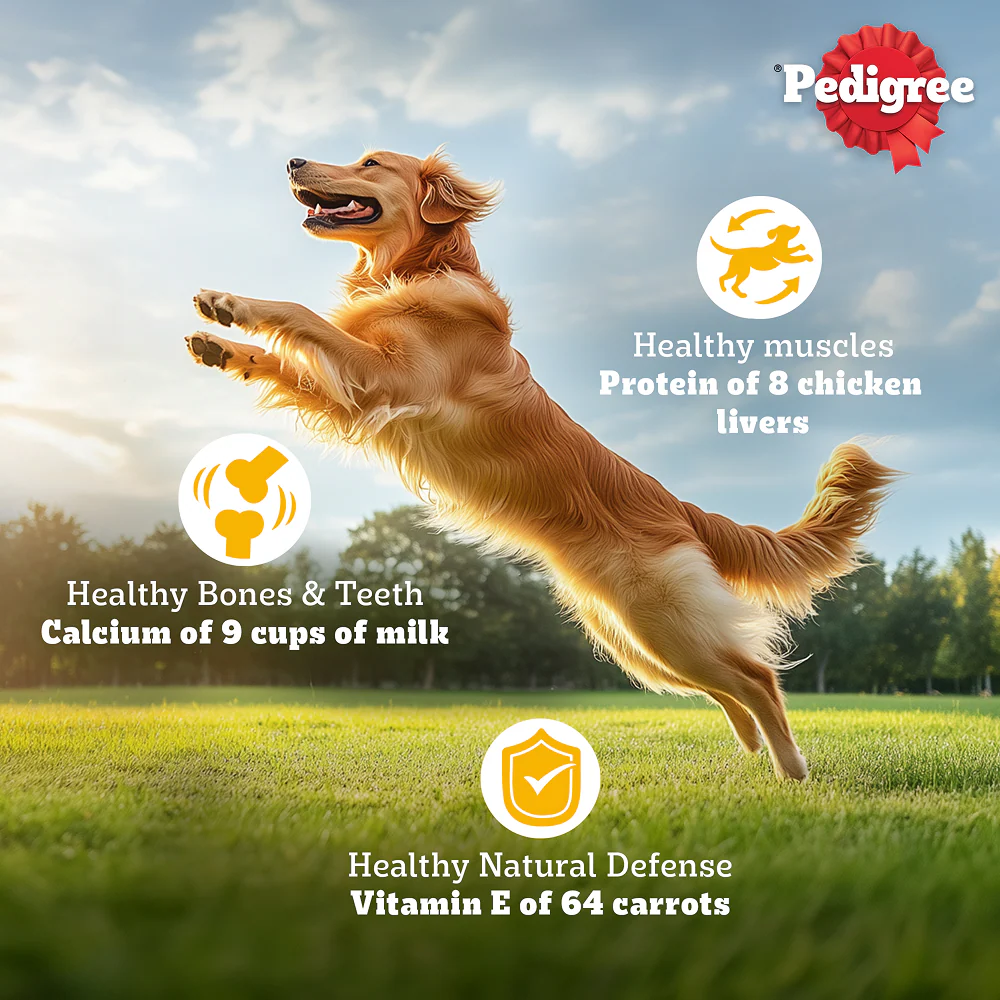 Pedigree Adult Dog Food Combo |Chicken & Vegetables Dry & Chicken & Liver Wet - Image 9