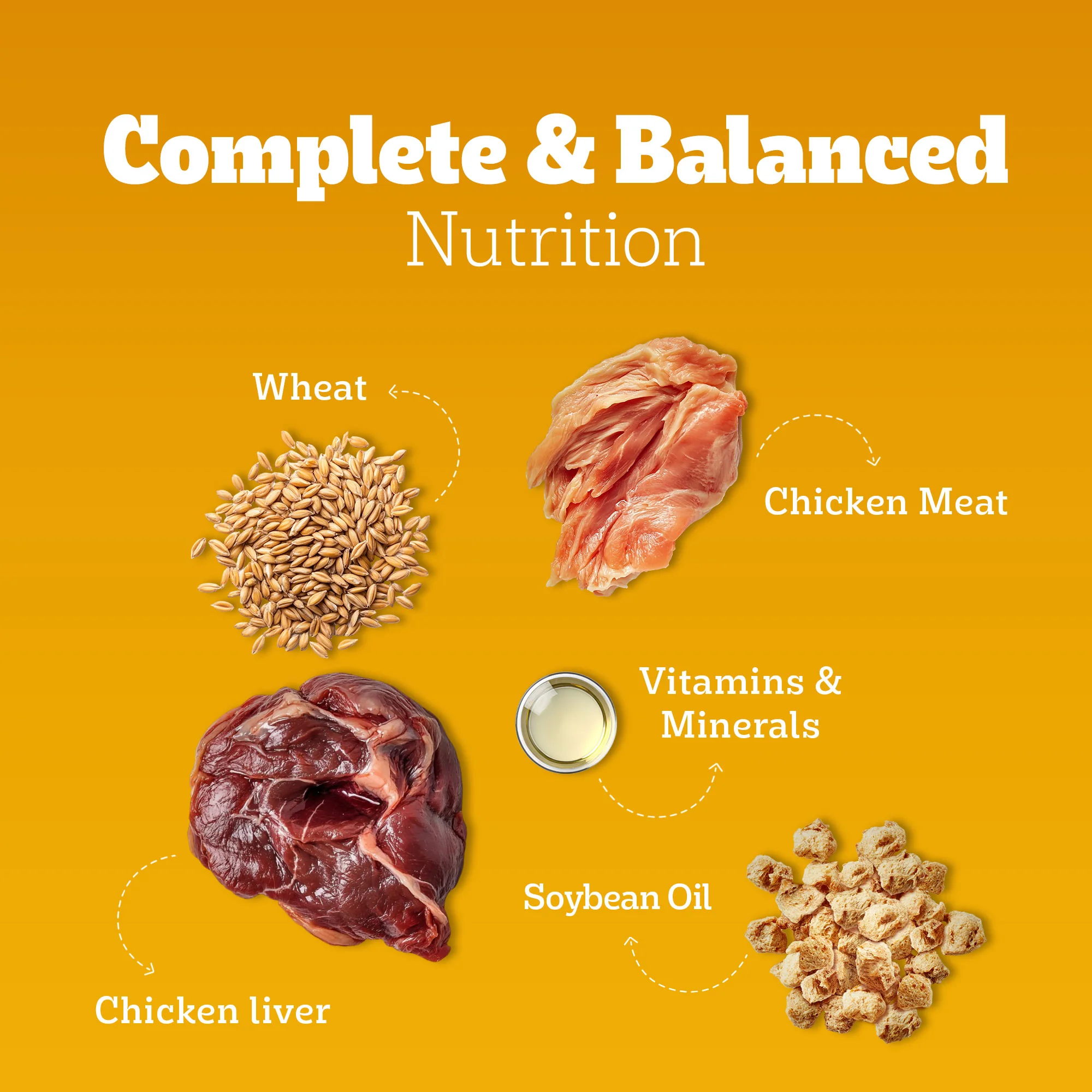 Pedigree Adult Dog Food Combo |Chicken & Vegetables Dry & Chicken & Liver Wet - Image 35