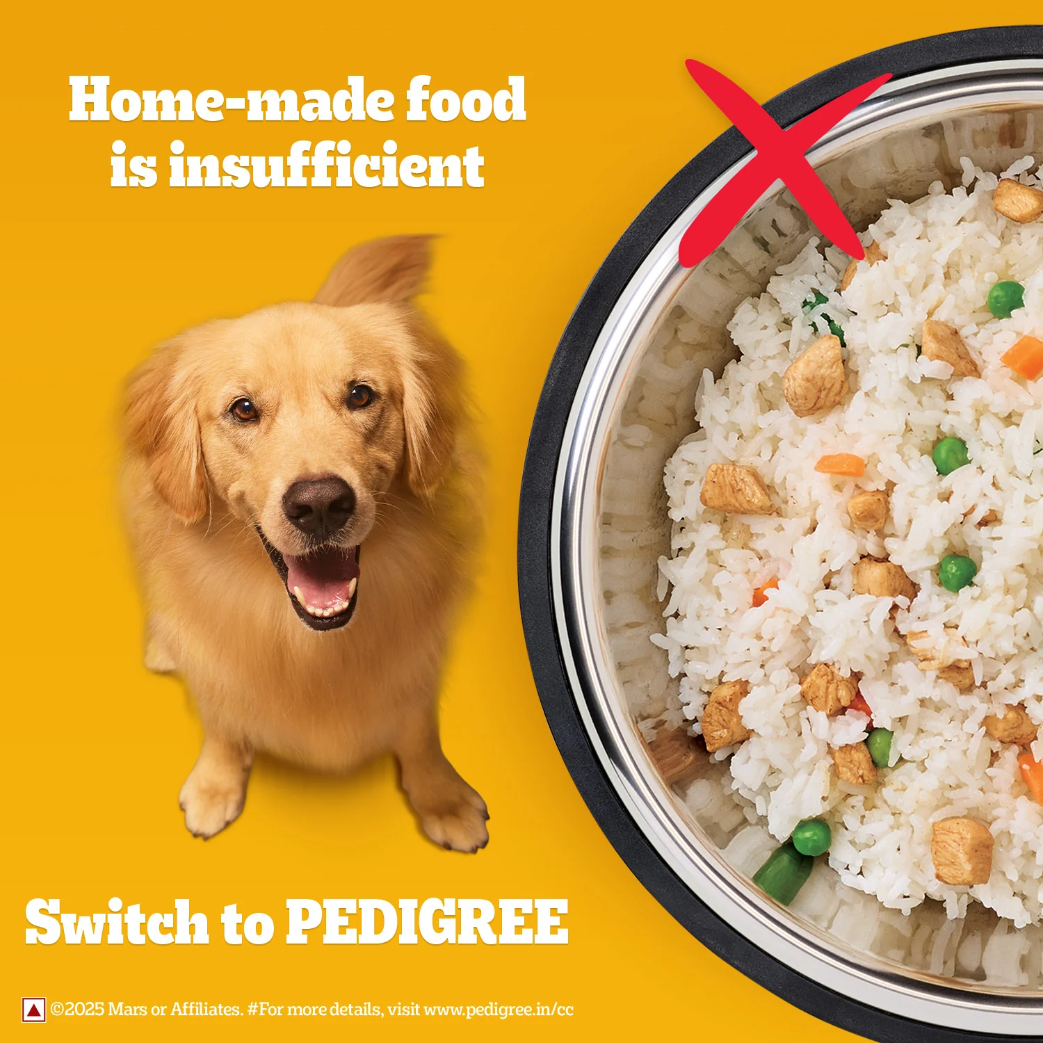 Pedigree Adult Dog Food Combo |Meat & Rice Dry & Chicken & Liver Wet - Image 20